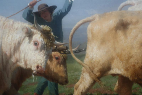 détail Rosa Bonheur