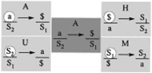 shema6