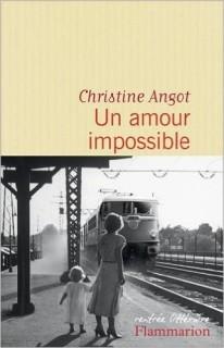 christine angot
