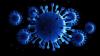 virus